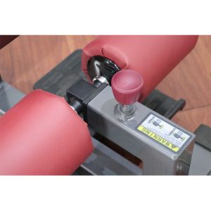 Buy cheap Full Body Gym Equipment Adjustable Sissy Squat Rack for commercial trainer use from wholesalers