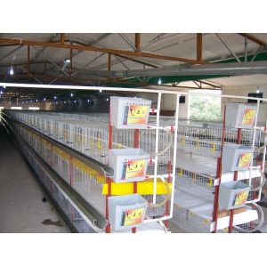 Buy cheap High Standard Design Prefab Chicken Shed and Chicken Farm from wholesalers
