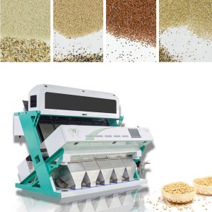Buy cheap Wenyao 5 Chute Color Sorting Machine Intelligent Sesame Color Sorter from wholesalers