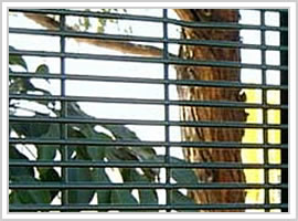 12.7MM X 76.2MM 358 High-Security Wire Fence