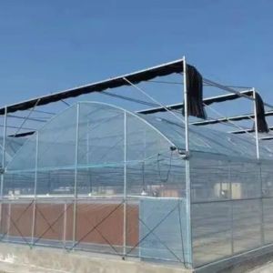 Buy cheap Seedling Cultivation Juxiang Hydroponic Farm Film Greenhouse with Customized Request from wholesalers