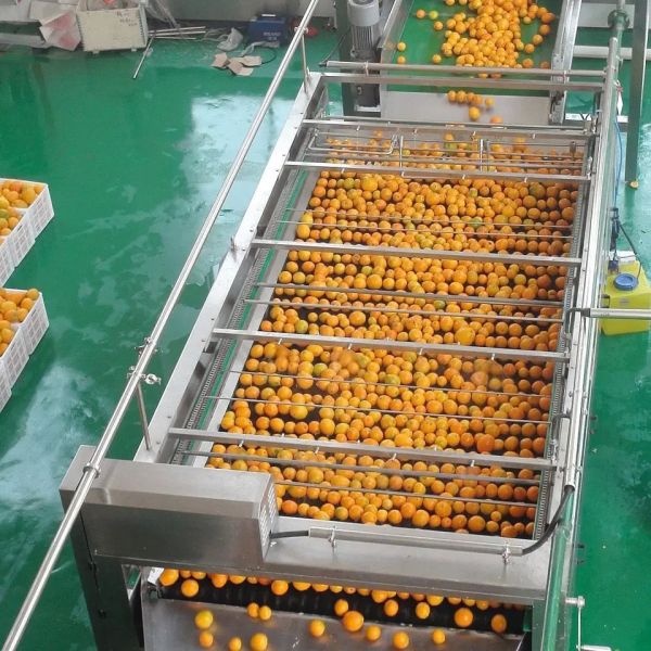 Quality All Automatic Customizable Orange Juice Machine New Juice Processing Machine Complete Fruit Processing Machine Tangerine Pulp for sale