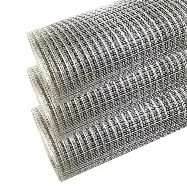1.2Mm Hot Dipped Galvanized Iron Wire Mesh Roll for Protecting Mesh Bird Rabbit