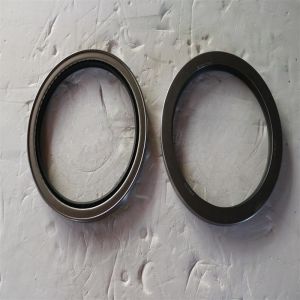 Buy cheap Garlock Assembled Oil Seal 21086-3484 boom oil seal kit from wholesalers