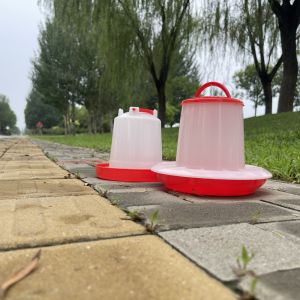 Automatic Poultry Water Feeder With Durable Plastics Accessories