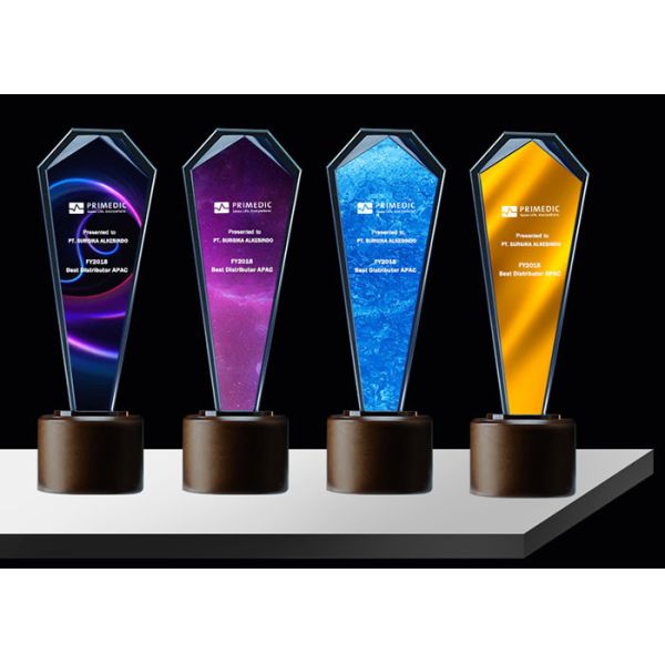 Quality Sandblasting / Lasering Logo Glass And Crystal Trophies , Personalised Glass Awards for sale