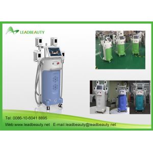 Buy cheap cryolipolysis slimming machine with 4 handles with CE certificattion from wholesalers