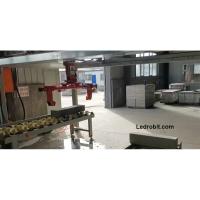 Buy cheap Customization Clamp Loading And Unloading Equipment Slabs Palletizing Robot product