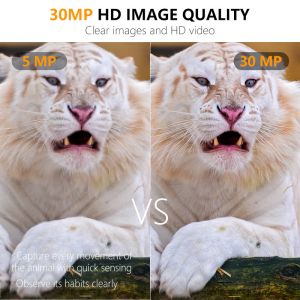 Buy cheap Long Range 30MP HD Hunting Cameras from wholesalers