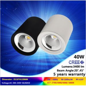 Buy cheap 5000K/6000K 40W black or white LED downlight with high quality and lumens in low price from wholesalers