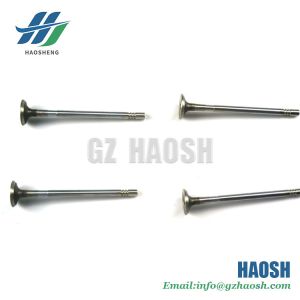 Buy cheap 2S7Q-6505A3C-N Exhaust Valve 2S7Q-6505A3C For Ford Transit V348 N350 N351 N800 S350 N352QS U375 J351X351MC from wholesalers