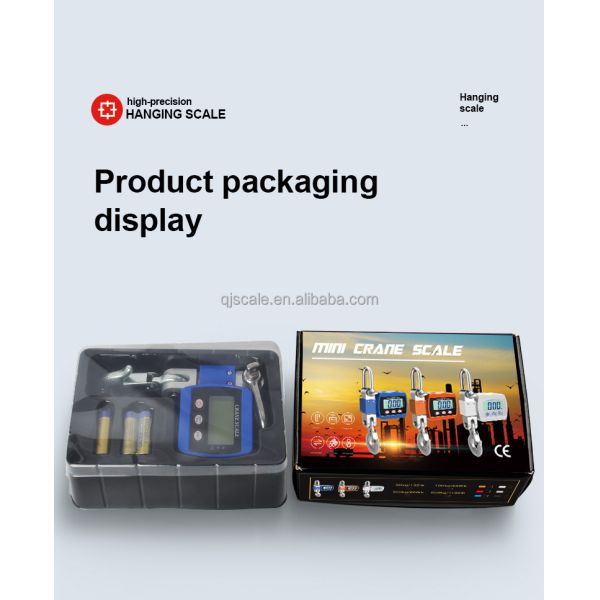 50g Accuracy Electronic Industrial Hanging Scale 300kg Digital Crane Scale with Customized OEM Support