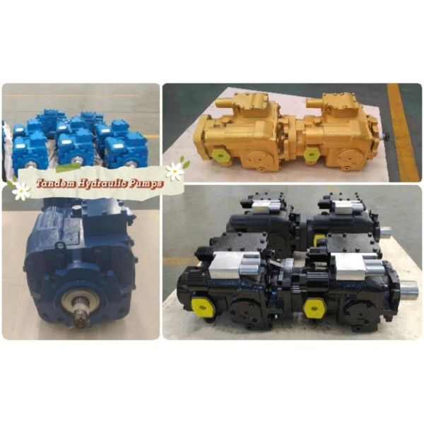 Hydraulic tandem pump customization
