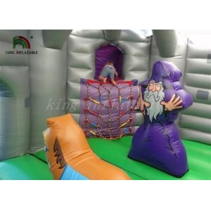 Purple / Grey Inflatable Jumping Castle With Dragon Slide Roofed Playground
