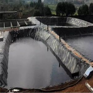 Buy cheap Smooth Geomembrane Fish Pond Liner Dam Liner 0.5mm 1mm 2mm Length 50-200m Width 1-6m from wholesalers