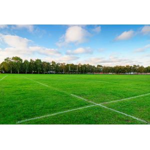 Buy cheap SGS Approved Plastic 9000 Dtex Artificial Turf Grass Eco-Friendly from wholesalers