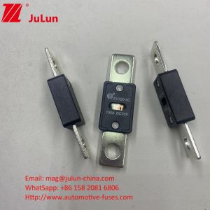 Buy cheap EV320-5C 200A 70VDC SINOFUSE FOR EV HEV Terminal Type Electric Vehicle Fuse 70VDC AC Ev Charger Adapter Compatible from wholesalers