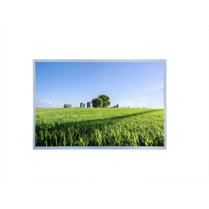 Buy cheap 17-inch Widescreen 1920x1200 Resolution 1000nits Brightness LCD Panel Type LCM with High Contrast Ratio and Wide Operating Temperature from wholesalers