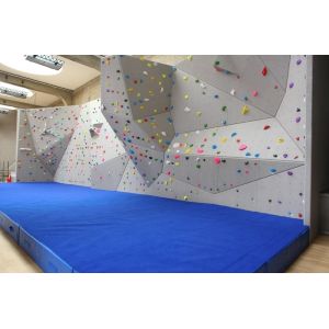 10-Piece Gecko King 2018 Rock Climbing Wall Holds in Different Colors for
