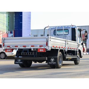 Customized Mini FOTON 4X2 Truck Van Trucks Cargo Van Truck With 4.2Meter Cargo