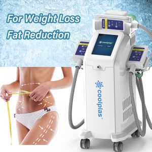 Buy cheap Weight Loss Cryolipolysis Slimming Machine Fat Reduction With 3 Handles from wholesalers