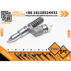 Caterpillar C15 C32 Injector 249-0709 2490709 10R1273 10R-1273
