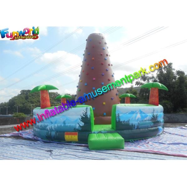 Quality Customized Inflatable Climbing Wall , inflatable rock wall With Jungle for sale