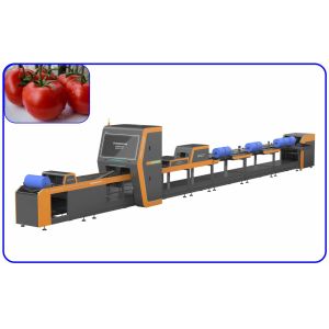 Buy cheap Low Loss 4 Channel Tomato Machine Sorting Intelligent Optical Tomato Sorter from wholesalers
