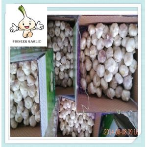 Buy cheap Natural White Fresh Garlic For Sale China Garlic With High Quality from wholesalers
