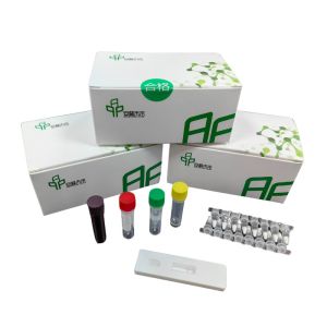 Buy cheap Rapid Herpesvirus Hominis Isothermal Pathogen Detection Kit With 5-20mins from wholesalers