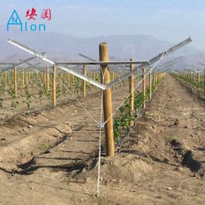 Buy cheap Recyclable Orchard Trellis Systems Provides Complete Control Trellis Wires from wholesalers