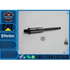 FUEL INJECTOR 1705181 170-5181 for R1300G, D7G2, D7R, 350, 350L