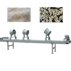 High Automation Twin Screw Fortified Rice Processing Machine 100kg/h-900kg/h