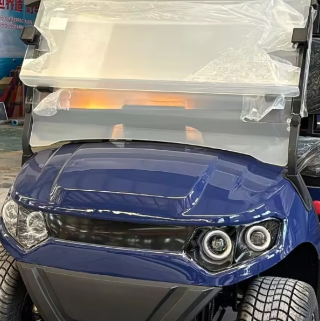 High Quality Luxury Mini Car Electric Golf Cart 2 Seater Golf Buggy with Lithium Battery