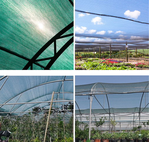 Buy cheap Garden Shade Netting Shade Net Exporters Shade Net Supplier Shade Nets ​Shade Netting For Plants ​Agriculture Shade Net Shade Netting Shade Net ​Shade from wholesalers