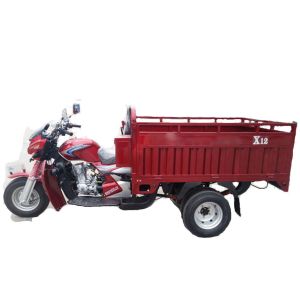 Buy cheap Rear Load Gasoline 1.5t 200w 5 Wheel Motorcycle from wholesalers