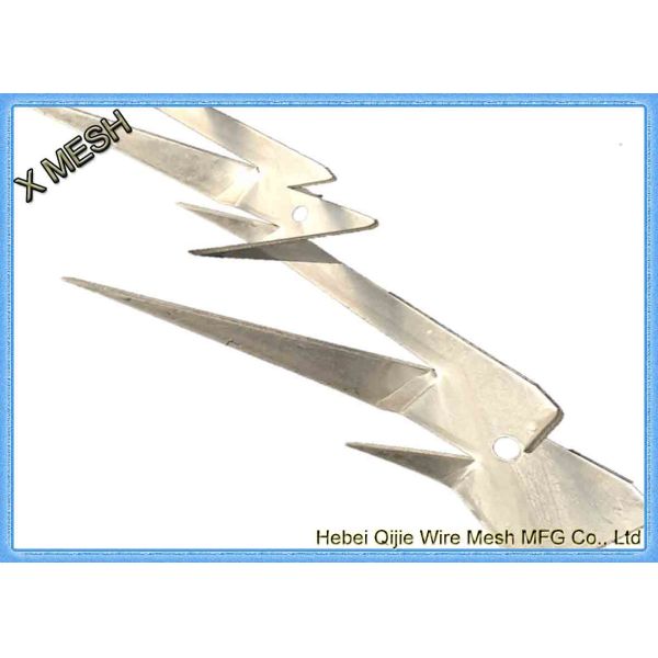 Quality Galvanized Metal Wire Mesh Anti - Creeped Wall Spike 2mm Thickness for sale