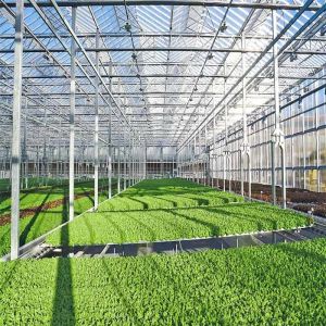 Buy cheap Q235 Q345 1.4KN/M2 Max Snow Load Greenhouse Solar System from wholesalers