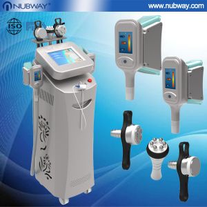 Best cryolipolysis for beauty salon use / cryolipolysis rf vacuum