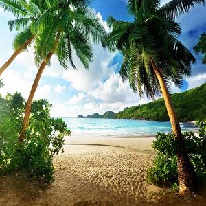 Buy cheap Printed roller zebra blinds and fabric /Motorized roller blinds for window / 3D printed roller shade from wholesalers