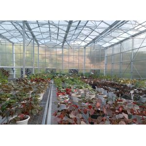 Buy cheap Polycarbonate Greenhouse Sheet with Customized Length and 9.6 Meter Tunnel Width from wholesalers