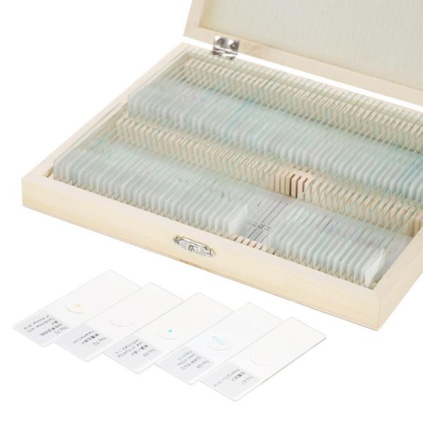 Human Histology Tissue Teaching 100piece Prepared Microscope Slides Sets In