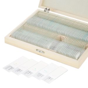 Buy cheap Students 100PCS Shockproof Prepared Slides For Biology from wholesalers