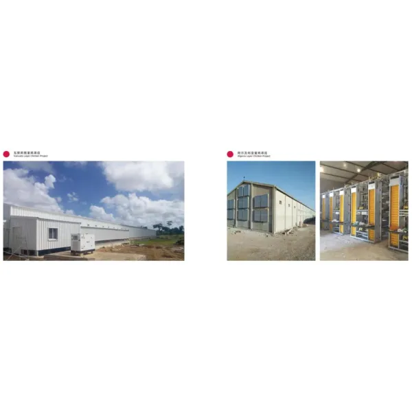 High Quality Broiler Chicken Cage Equipment