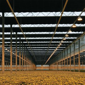 LED Light Deprivation Greenhouse With Shading And Security System