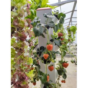 Buy cheap Intelligent Hydroponics Vertical Garden Planting Herbal Plants NFT Growing System from wholesalers