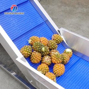 Buy cheap Orange Potato Onions Ginger Potato Carrot Taro Sweet potato Yam Saiko persimmon papaya horseshoe Simple melon and fruit lifting and brush roller from wholesalers