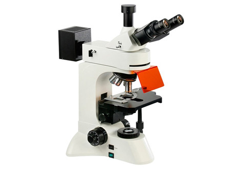 WF10X/22mm Led Fluorescent Microscope Inverted 4X 10X 360 Degree