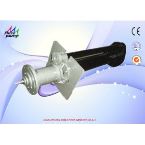 China No Leakage Vertical Submerged Centrifugal Pump , 100RV Vertical Cantilever Pump on sale