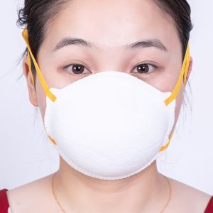Anti pollution Niosh FFP2 FFP3 KN95 Particulate Respirator Mask